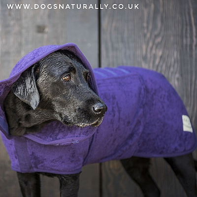 Dog Drying Coat - Purple